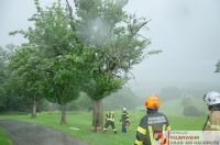 _2024-06-08 Brand Baum Letten-0020